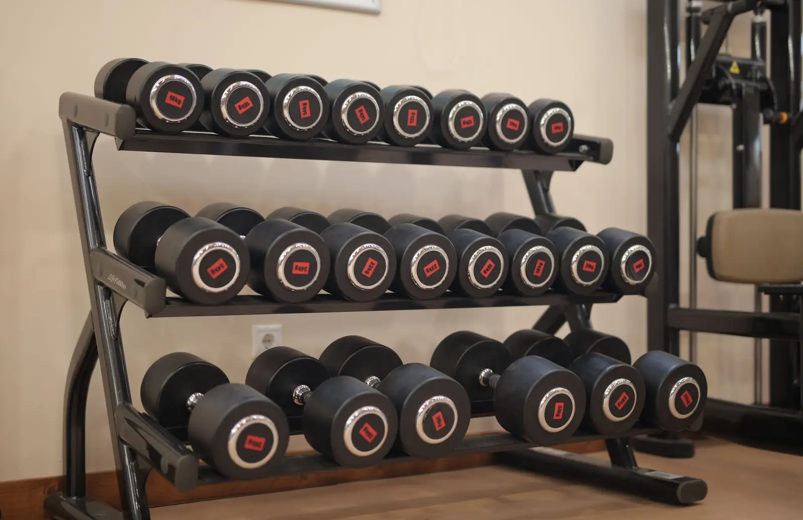Fitness & Recreation